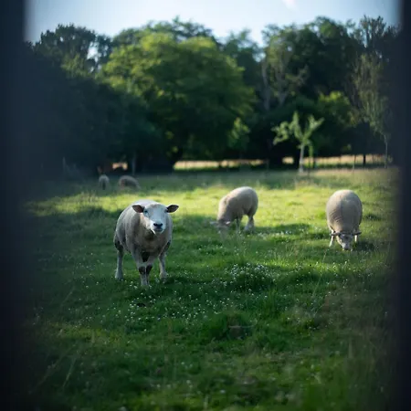 La Au Bois D'ohey Ohey